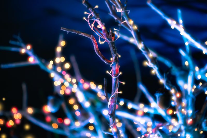 Christmas Lights Hanging in Alpharetta, GA