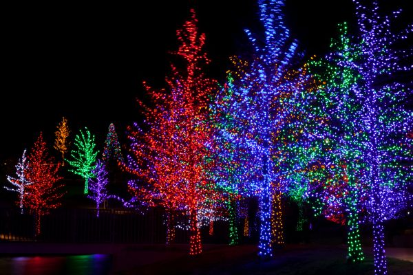 Holiday Lights Installation